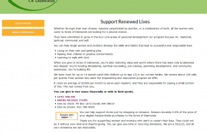 New donation page sample from local nonprofit