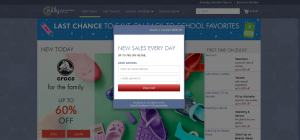 forced opt-in email form - why zulily failed to reach growth potential