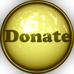 donate button is the primary call to action for nonprofits and charities